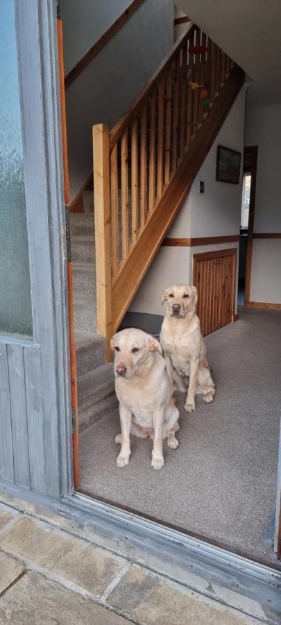 Bb@No17 Bed & Breakfast Aviemore Ngoại thất bức ảnh